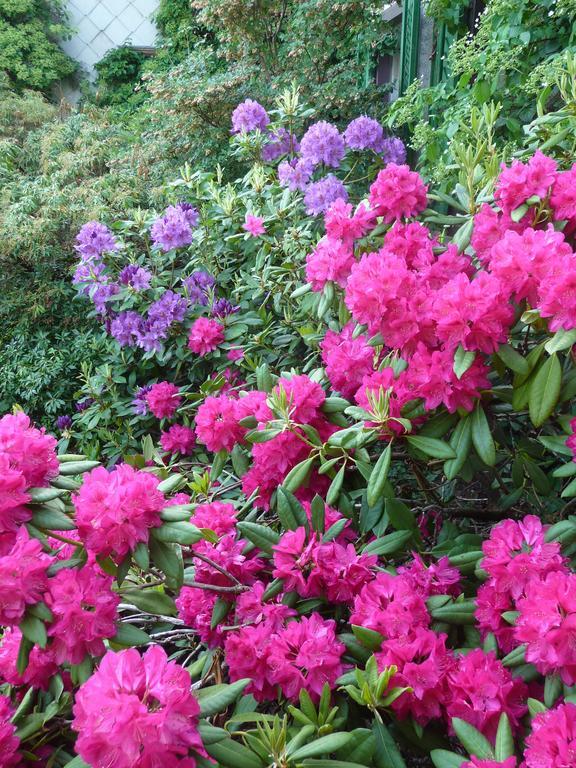 Gastehaus Zum Tulpenbaum Bed & Breakfast Turbenthal Bagian luar foto