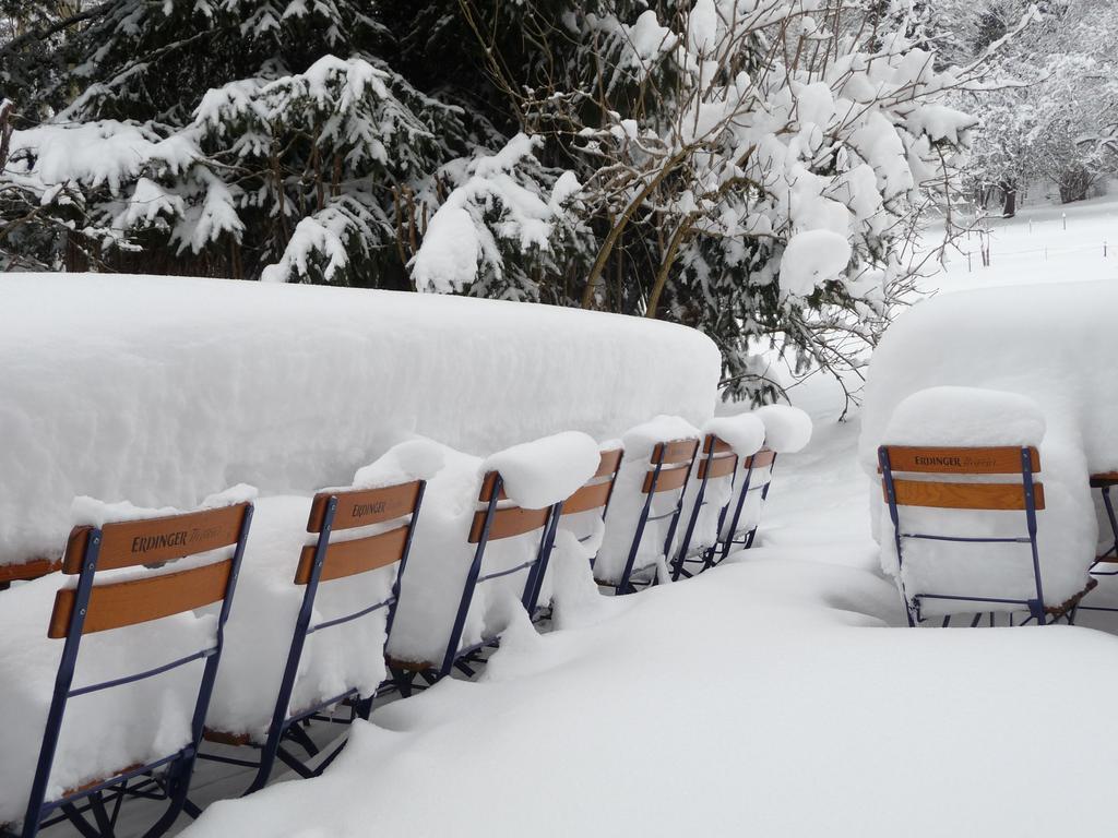 Gastehaus Zum Tulpenbaum Bed & Breakfast Turbenthal Bagian luar foto