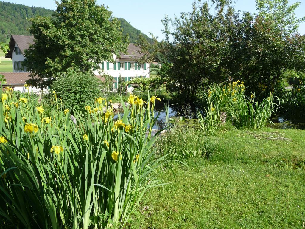 Gastehaus Zum Tulpenbaum Bed & Breakfast Turbenthal Bagian luar foto