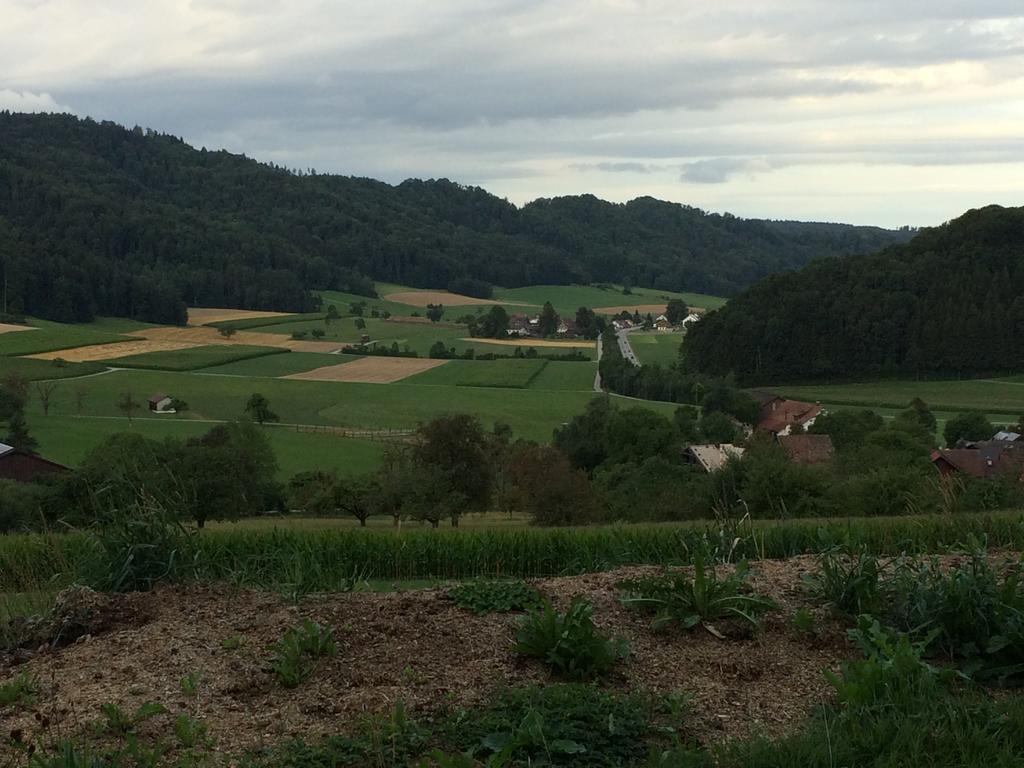 Gastehaus Zum Tulpenbaum Bed & Breakfast Turbenthal Bagian luar foto